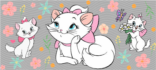 16oz Latest Bestseller-C 5565